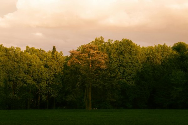 Comparaison entre les soins à domicile et les maisons de retraite